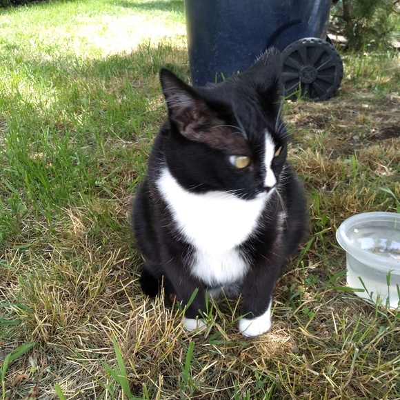 Meet your Posher, Lisa - Picture 2 of 4